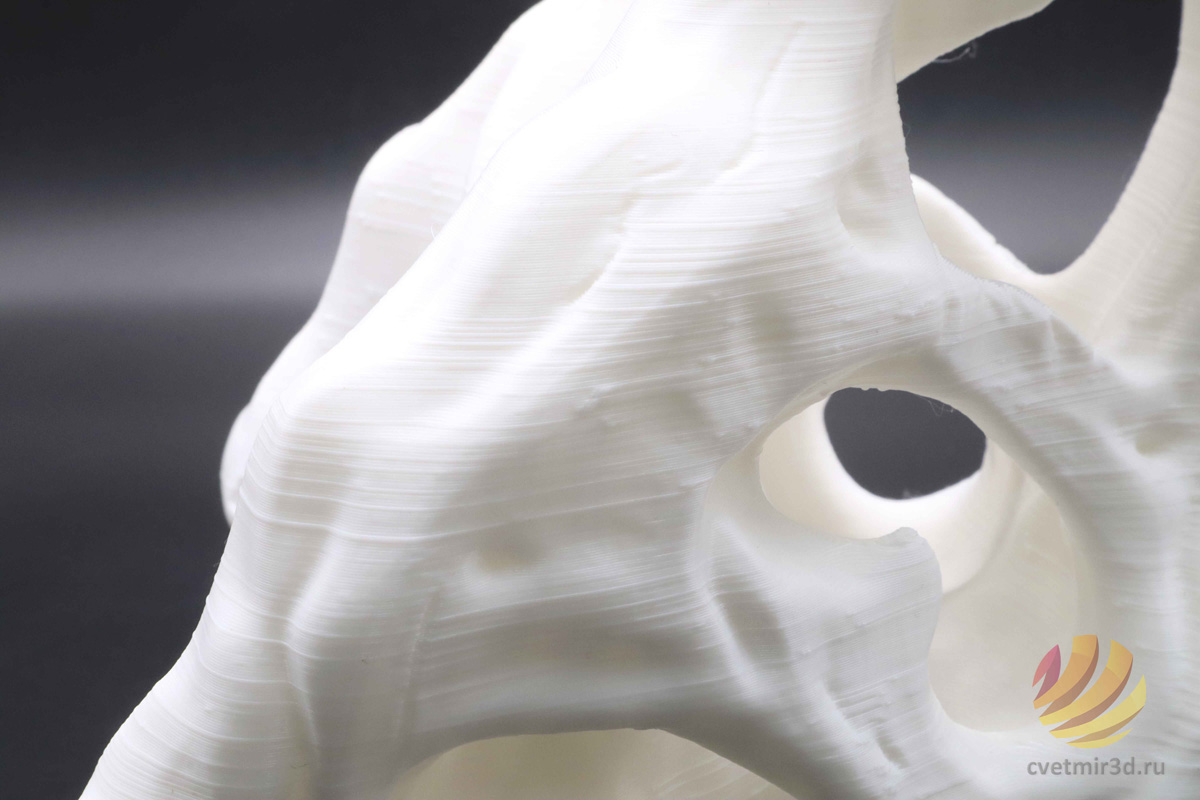 wanhao_d12 300_40.jpg