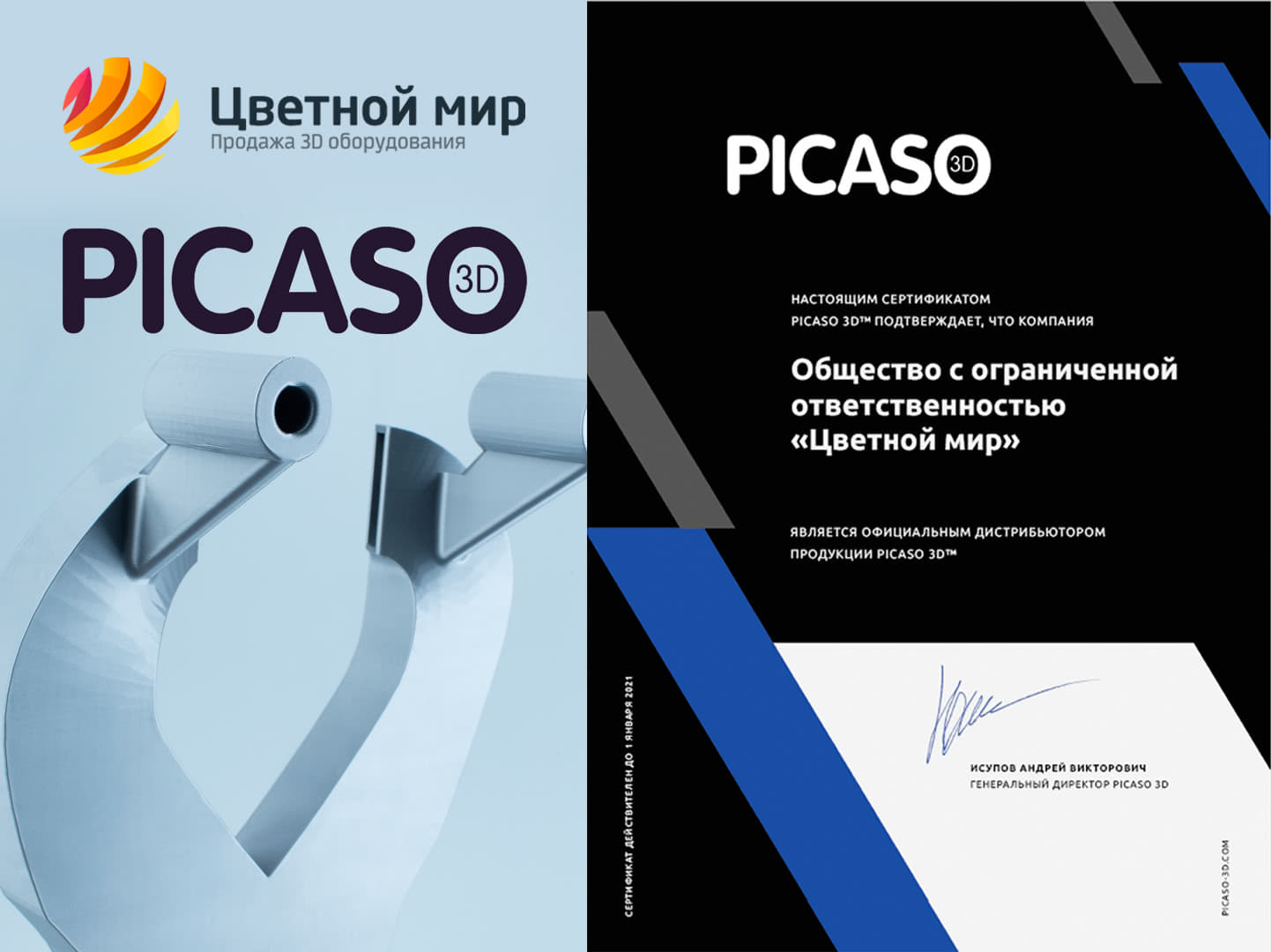 Сертификат PICASO 3D