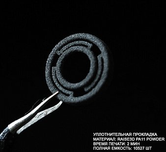 Система для 3D печати Raise3D RMS220